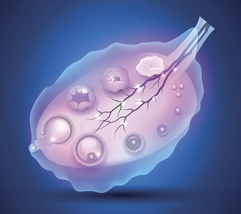 国外比较出名私立试管医院选择指南快来掌握要点